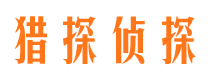 龙文找人公司